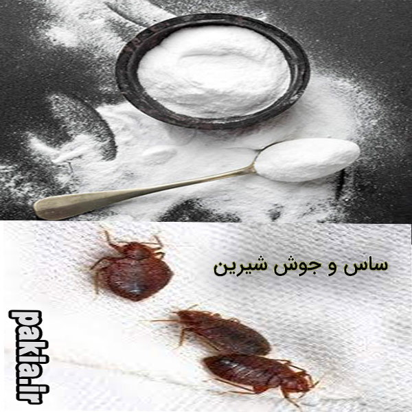 آیا جوش شیرین در از بین بردن ساس موثر است؟