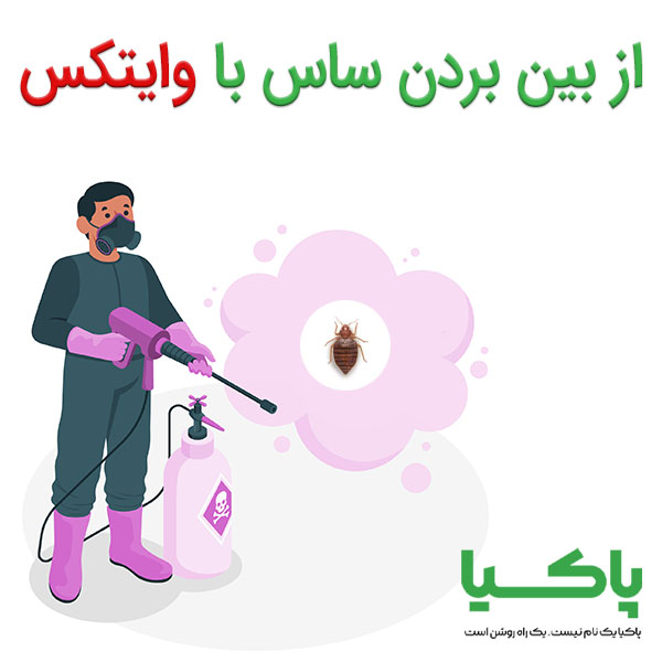 از بین بردن ساس با وایتکس