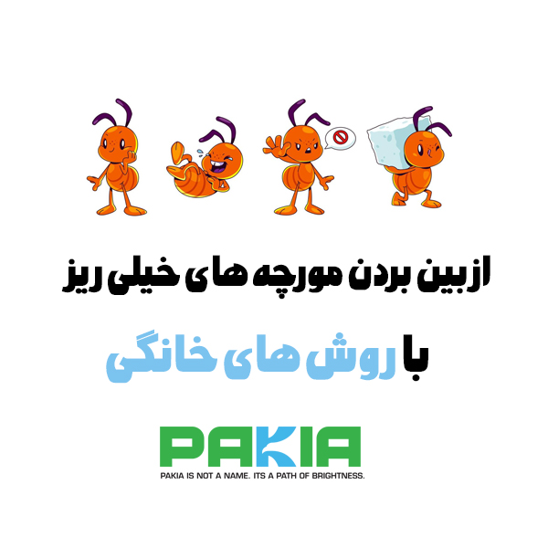 از-بین-بردن-مورچه-های-خیلی-ریز