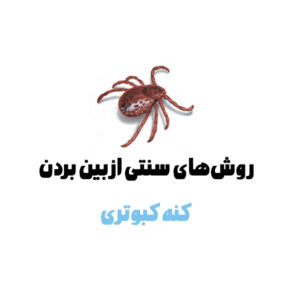 روش‌های سنتی از بین بردن کنه کبوتری