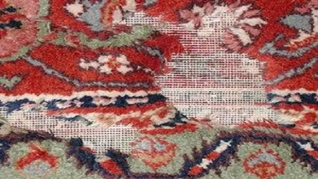 عکس بید فرش